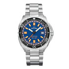 Delma Shell Star Titanium Blue