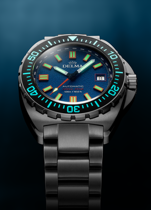 Delma Shell Star Titanium Blue