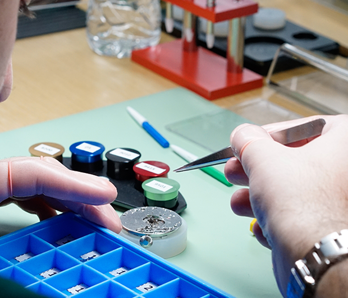 <h1>THE WATCH ACADEMY</h1>